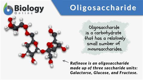 Hydrolysis of Oligosaccharides and Polysaccharides .